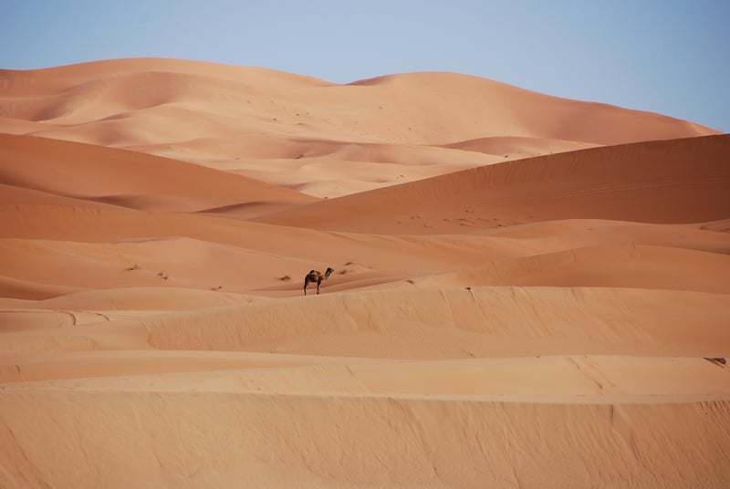 Moroccan Desert